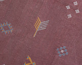 Cactus Silk Moroccan Sabra Area Rug - Rust 6'04"x9'10"ft  (RNS-XL017)